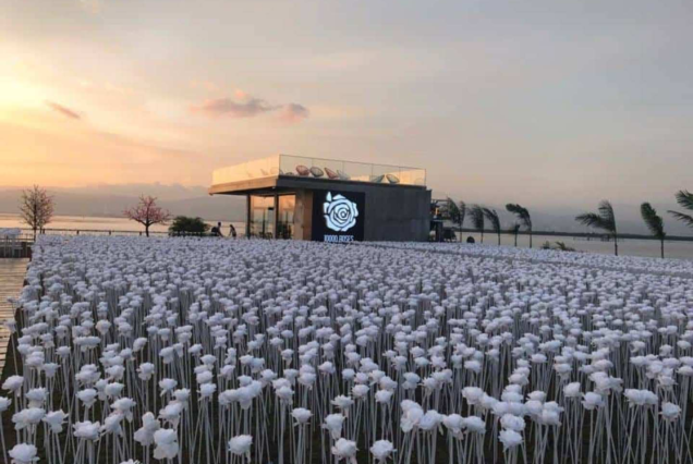 Cebu City & 10,000 Roses Tour