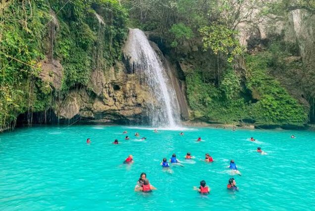 Oslob Whale Shark Watching & Kawasan Falls Tour