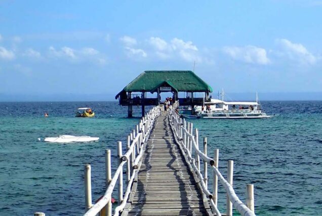 Mactan Island Hopping: Nalusuan Island Tour